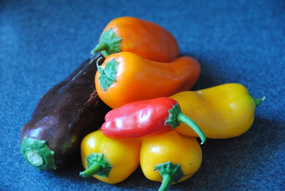 Sweet mini-peppers.